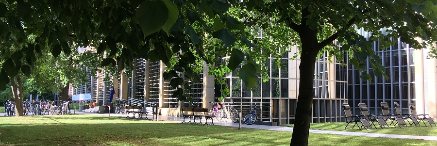 Ławki leżaki i stojaki rowerowe w ogrodzie przed wejściem do budynku Biblioteki